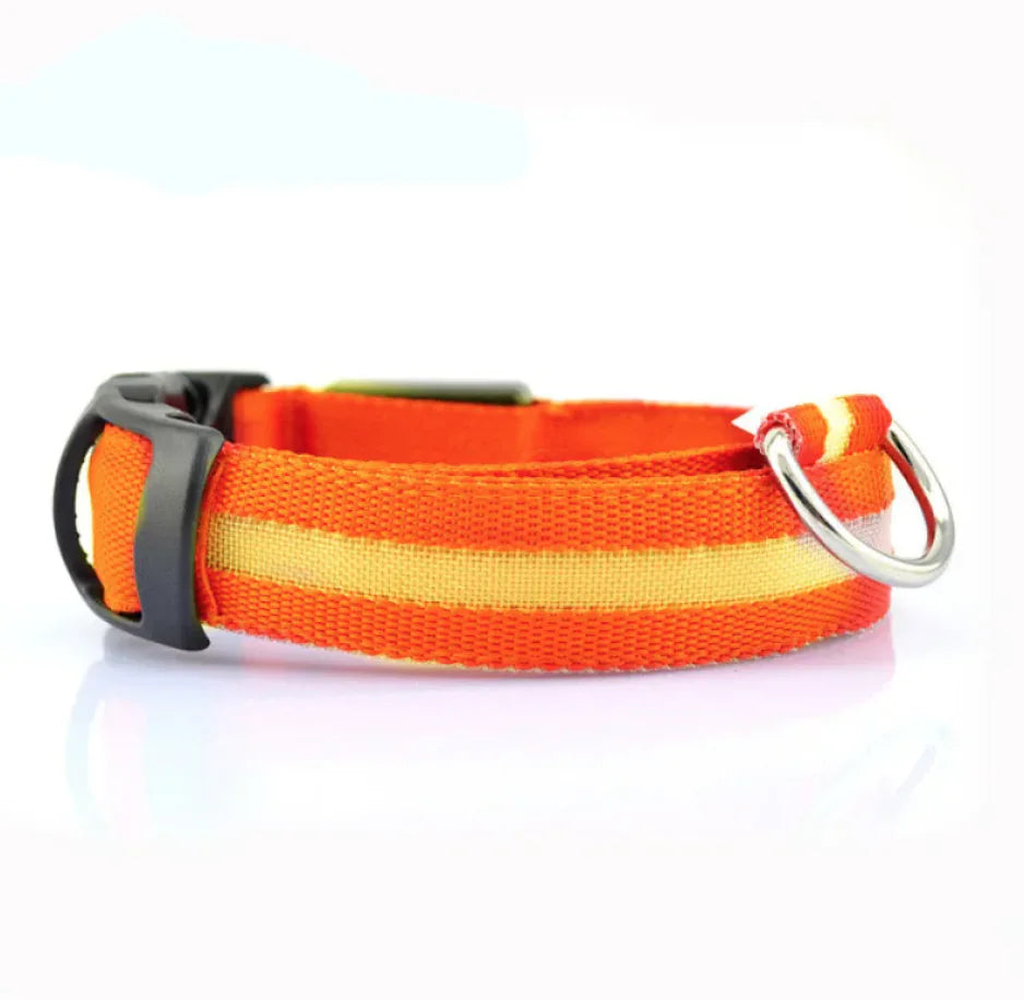 Glow Paw LED Safety Collar