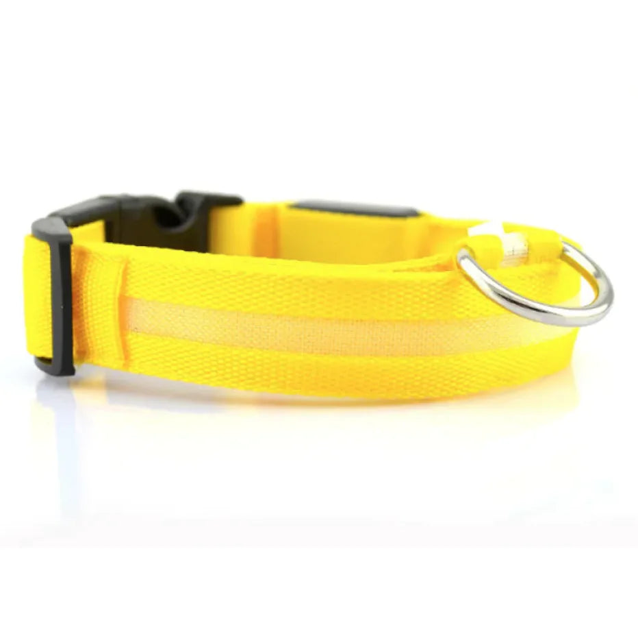 Glow Paw LED Safety Collar