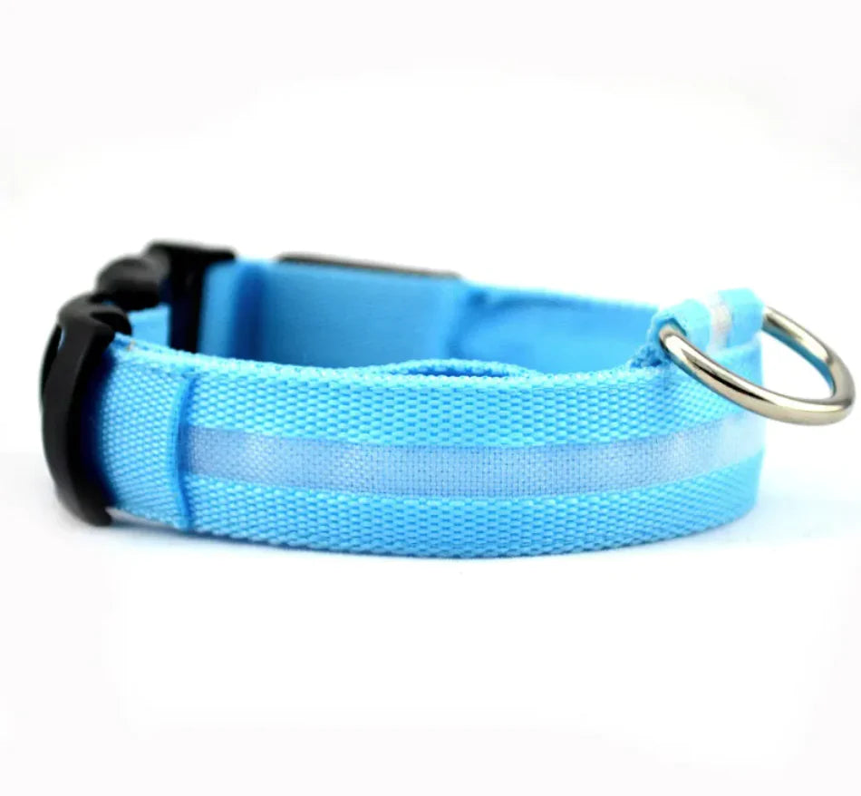 Glow Paw LED Safety Collar