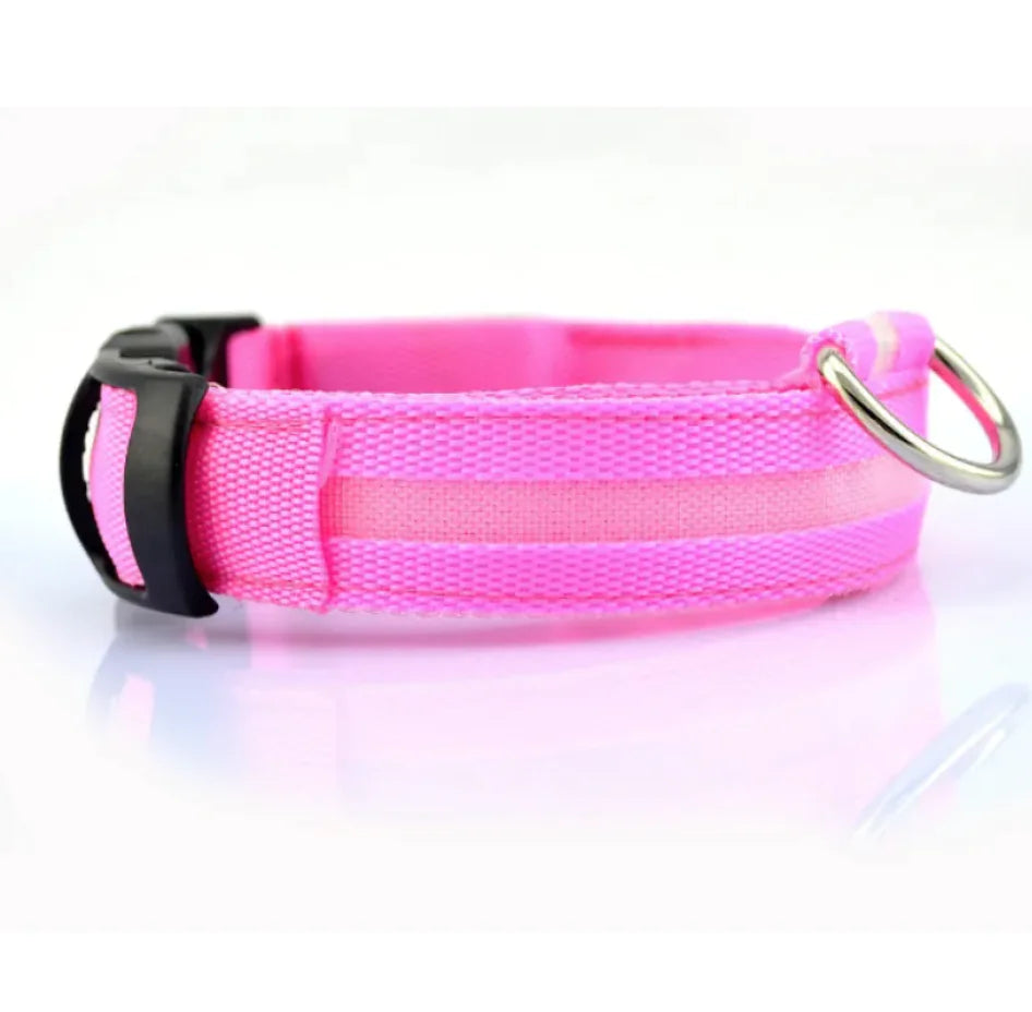 Glow Paw LED Safety Collar