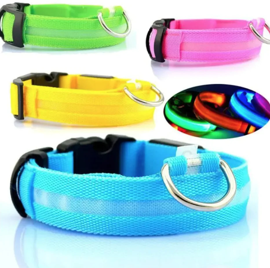 Glow Paw LED Safety Collar